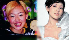 娱乐圈摆烂吃瓜郁可可,娱乐圈摆烂吃瓜，揭秘明星幕后生活