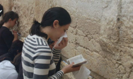 娱乐圈吃瓜猪头,猪头吃瓜事件揭秘